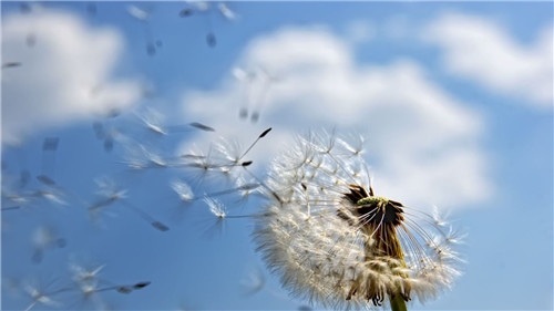 钟南山抗疫事迹2020心得范文5篇