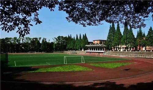 中学生读书心得体会范文大全2020【5篇】