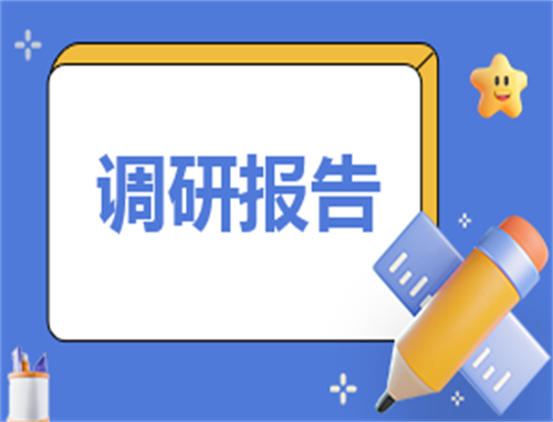 2023最新企业调研报告范文